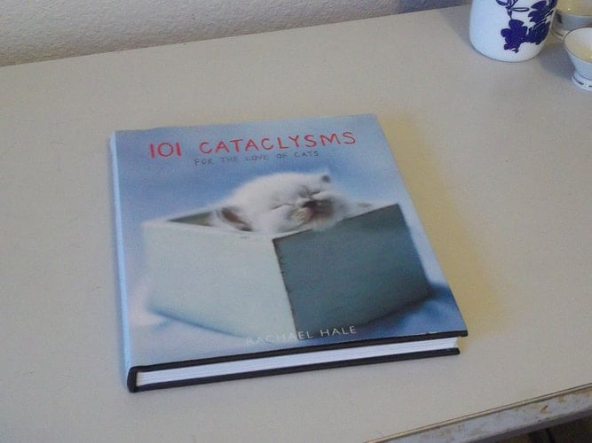 101 Cataclysms For the Love of Cats