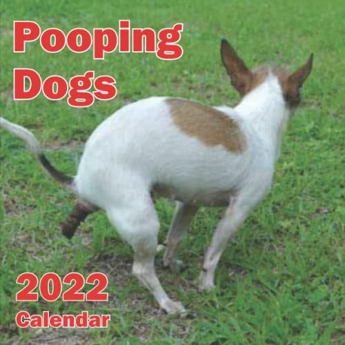 Pooping Dogs Calendar 2022 Funny Animal Lover, 12 Months Pooping Dogs Photos, for Women, Men, Teens | Great for Birthday, White Elephant Party, Secret Santa, Exchange, Stocking Filler Or Stuffer, Christmas