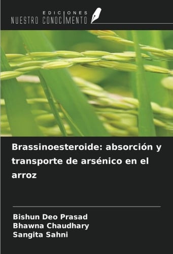 Brassinoesteroide: absorción y transporte de arsénico en el arroz (Spanish Edition)