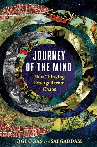 Journey of the Mind How Thinking Emerged from Chaos