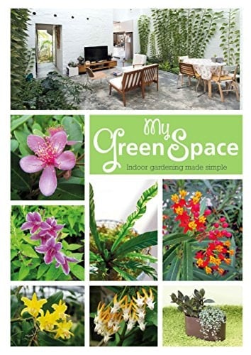 My Green Space Indoor Gardening Made Simple