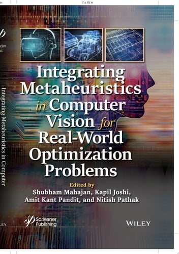 Integrating Metaheuristics in Computer Vision for Real-World Optimization Problems