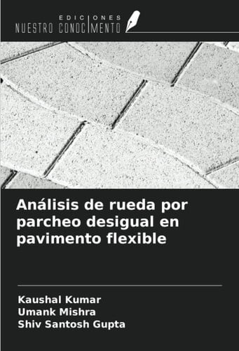 Análisis de rueda por parcheo desigual en pavimento flexible (Spanish Edition)