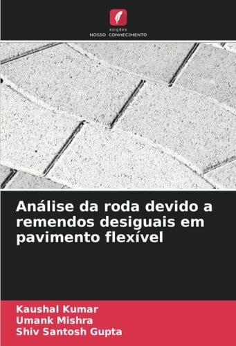 Análise da roda devido a remendos desiguais em pavimento flexível (Portuguese Edition)