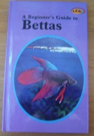 A Beginner's Guide to Bettas