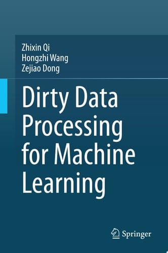 Dirty Data Processing for Machine Learning