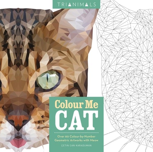 Colour Me Cat Over 60 Colour-by-number Geometric Artworks with Meow