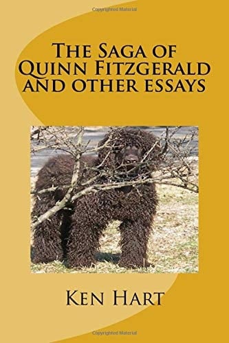 The Saga of Quinn Fitzgerald and Other Essays