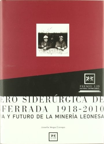 Minero Siderúrgica de Ponferrada, 1918-2010 historia y futuro de la minería leonesa