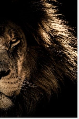 BILL TRACKER NOTE BOOK