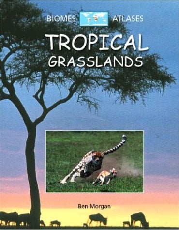 Tropical Grasslands