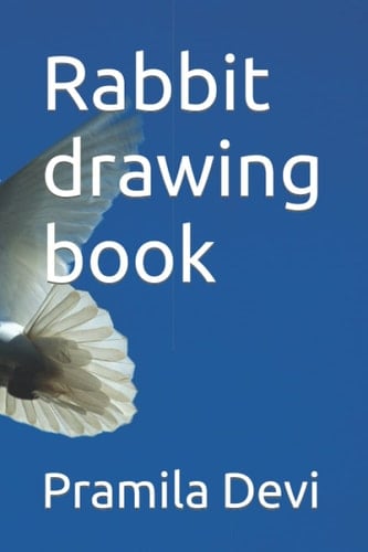 Rabbit Drawing Book