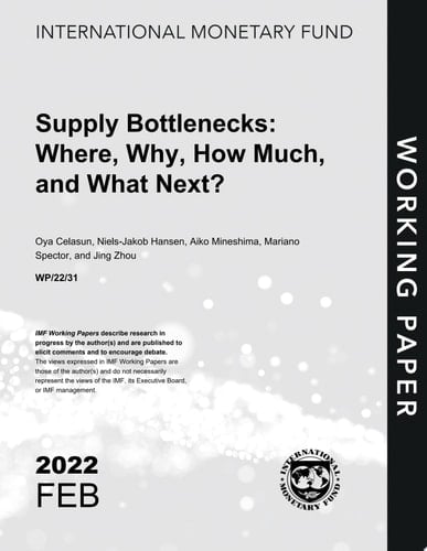 Supply Bottlenecks: Where, Why, How Much, and What Next?