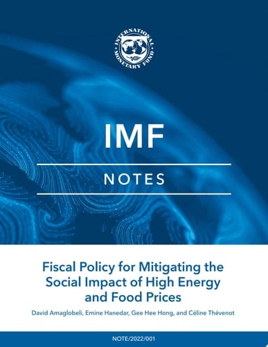 Fiscal Policy for Mitigating the Social Impact of High Energy and Food Prices