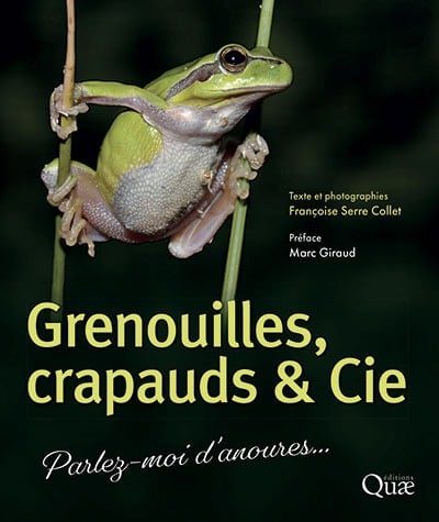 Grenouilles, crapauds & Cie Parlez-moi d’anoures…