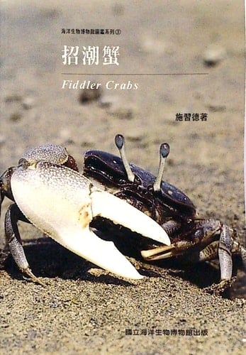Fiddler crabs