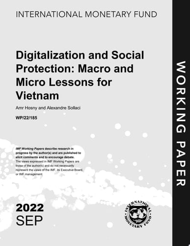 Digitalization and Social Protection: Macro and Micro Lessons for Vietnam