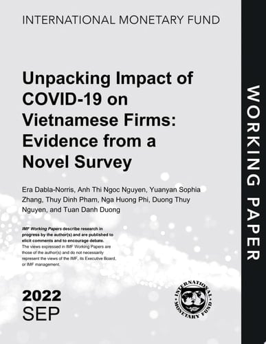 Unpacking Impact of COVID-19 on Vietnamese Firms: Evidence from a Novel Survey