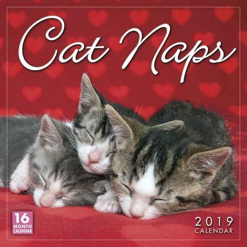 Cat Naps 2019 Wall Calendar