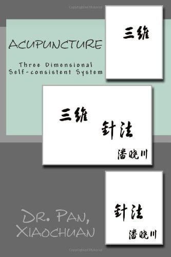 Acupuncture Three Dimensional Self-Consistent System