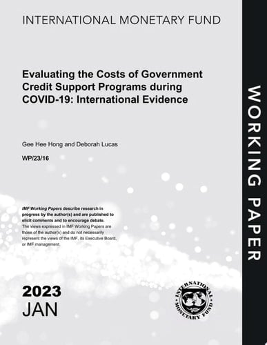 Evaluating the Costs of Government Credit Support Programs During COVID-19: International Evidence