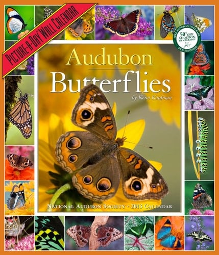 AUDUBON BUTTERFLIES CALENDAR 2013