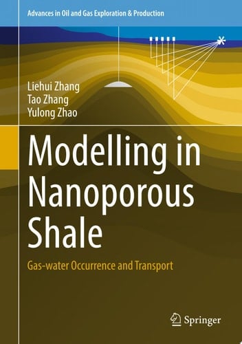 Modelling in Nanoporous Shale