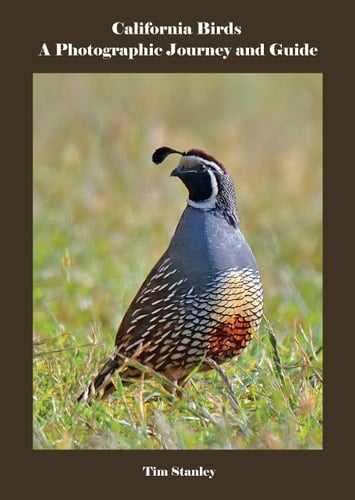 California Birds A Photographic Journey and Guide