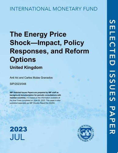 The Energy Price Shock—Impact, Policy Responses, and Reform Options United Kingdom