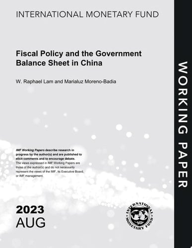 Fiscal Policy and the Government Balance Sheet in China
