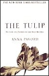 Tulip