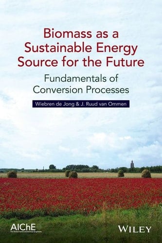 Biomass as a Sustainable Energy Source for the Future: Fundamentals of Conversion Processes