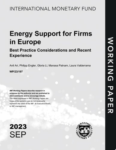 Energy Support for Firms in Europe: Best Practice Considerations and Recent Experience