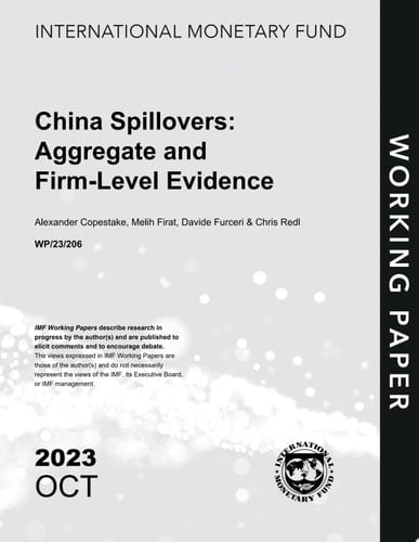 China Spillovers: Aggregate and Firm-Level Evidence