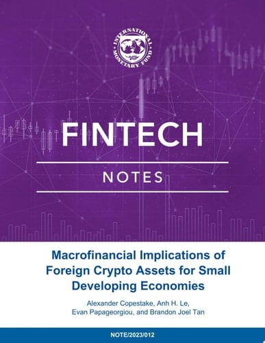 Macro-Financial Implications of Foreign Crypto Assets for Small Developing Economies