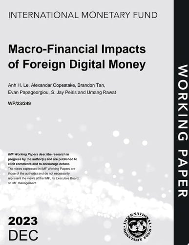 Macro-Financial Impacts of Foreign Digital Money