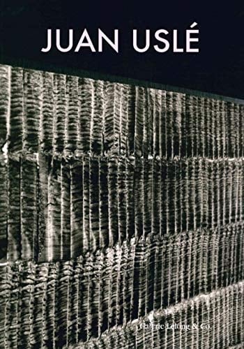 Juan Uslé la noche se agita