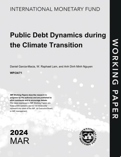 Public Debt Dynamics During the Climate Transition