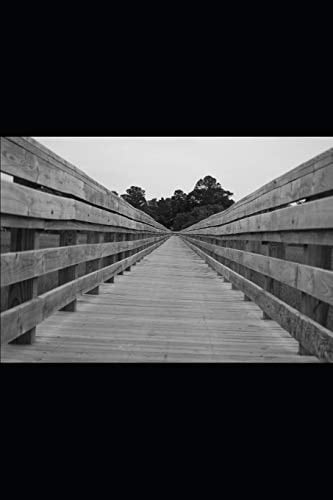 The Wandering Soul Lost in the Words