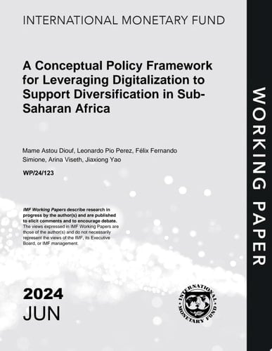 A Conceptual Policy Framework for Leveraging Digitalization to Support Diversification in Sub-Saharan Africa