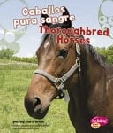 Caballos Pura Sangre/Thoroughbred Horses