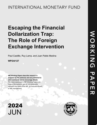 Escaping the Financial Dollarization Trap: The Role of Foreign Exchange Intervention