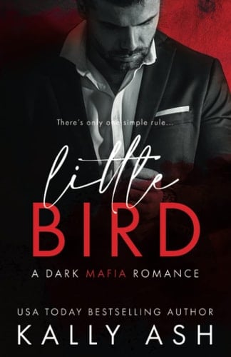 Little Bird A Dark Mafia Romance