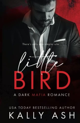 Little Bird A Dark Mafia Romance