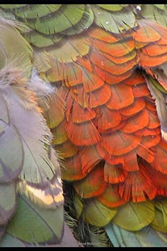 This Is a Test Subtitle