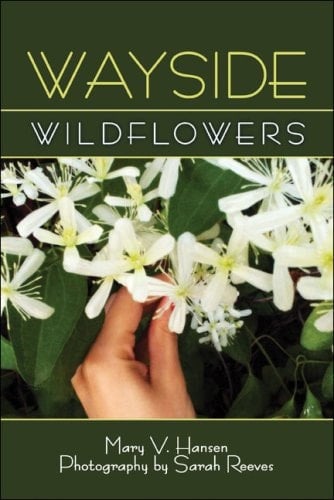 Wayside Wildflowers