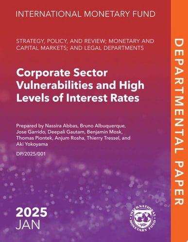 Corporate Sector Vulnerabilities and High Levels of Interest Rates