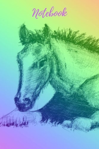 note book: lined note book, gift for office worker and co-worker and people who love horses