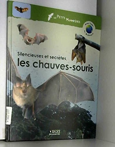 Silencieuses et secrètes, les chauves-souris