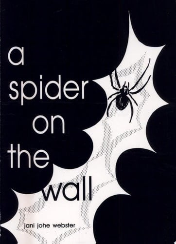 a spider on the wall